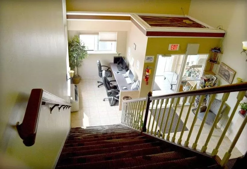 ユースホステル Adams Inn And Suites