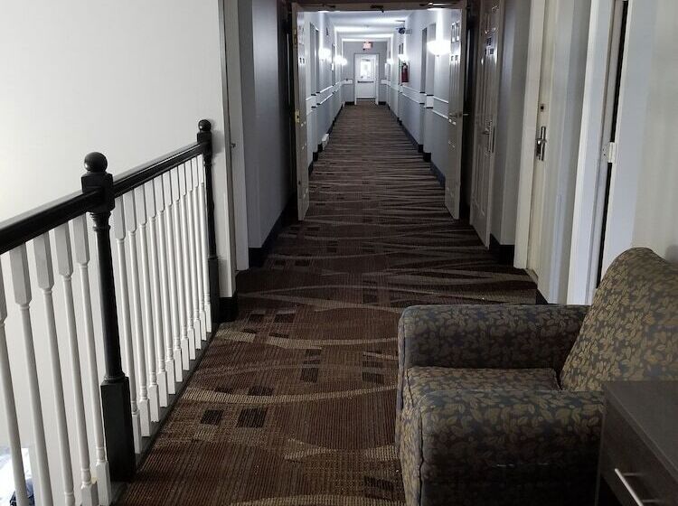 Общежитие Adams Inn And Suites