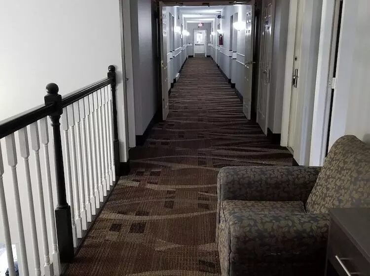 ユースホステル Adams Inn And Suites