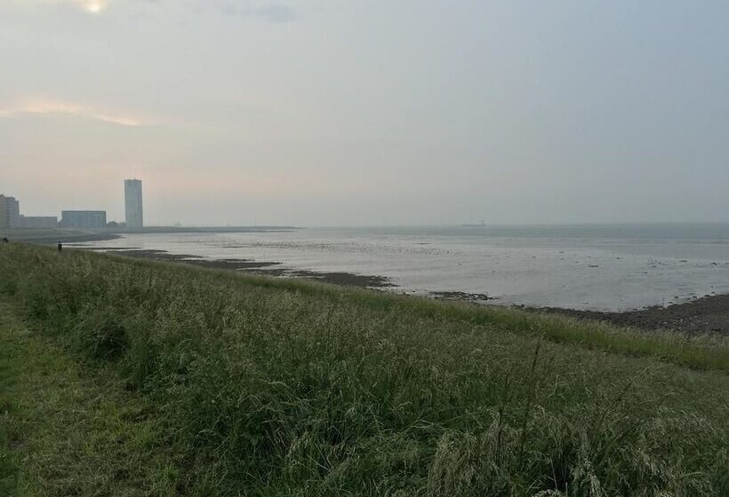 Cafe Pension The Chandelier