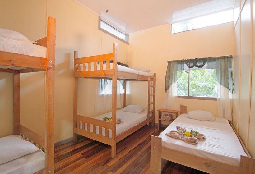 Hostel Islas Del Río