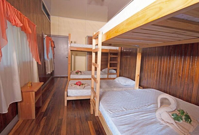 Hostel Islas Del Río