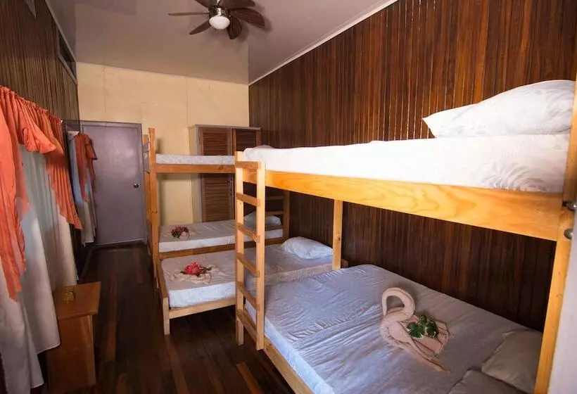 Hostel Islas Del Río