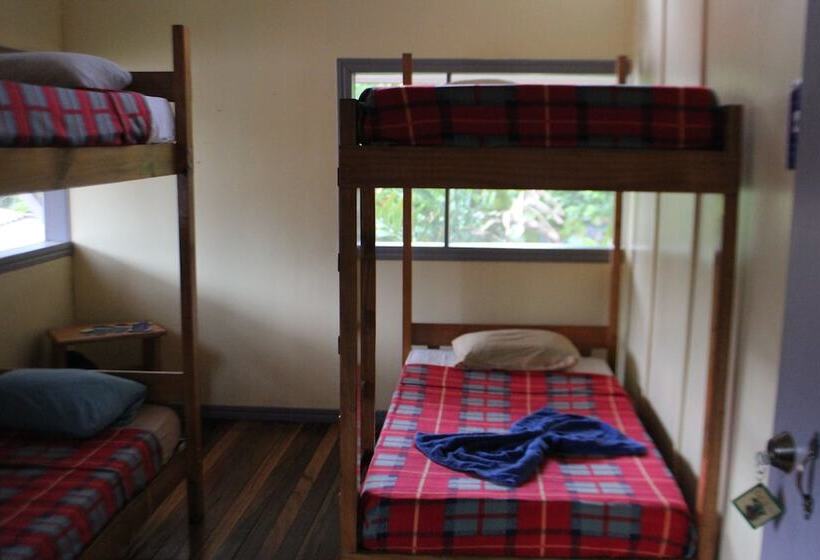 Hostel Islas Del Río