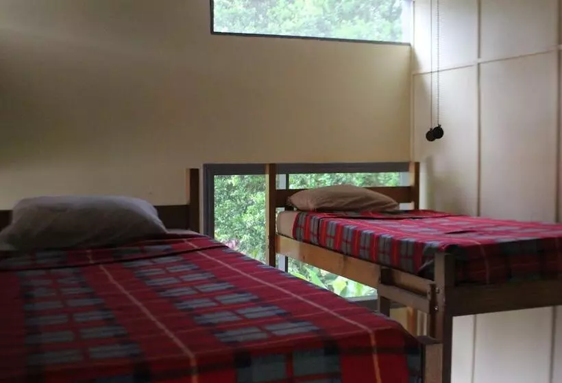 Hostel Islas Del Río