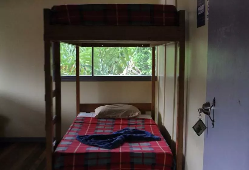 Hostel Islas Del Río
