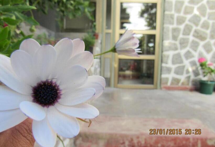 ペンション Hostal Boutique 180 Grados