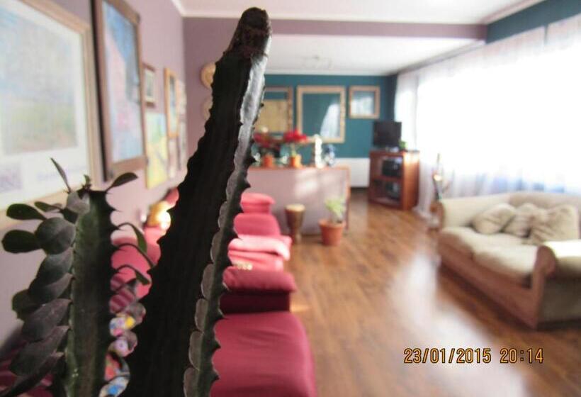 ペンション Hostal Boutique 180 Grados