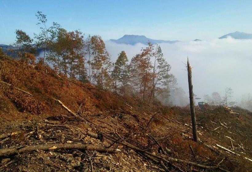 Pensão Hostal Ekaitza