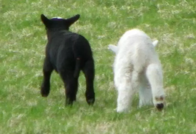 Majatalo Monravon Guest House