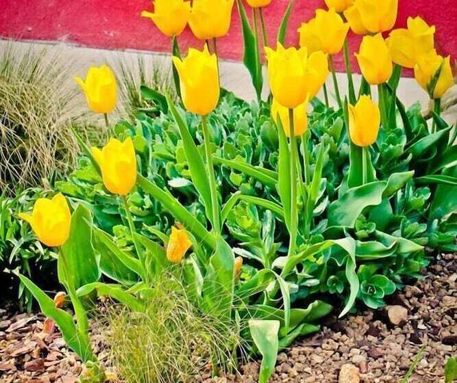 پانسیون Tourist Farm Tominc