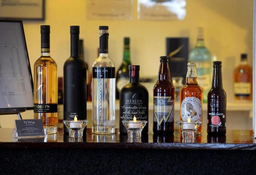 Majatalo Ty Helyg Guest House