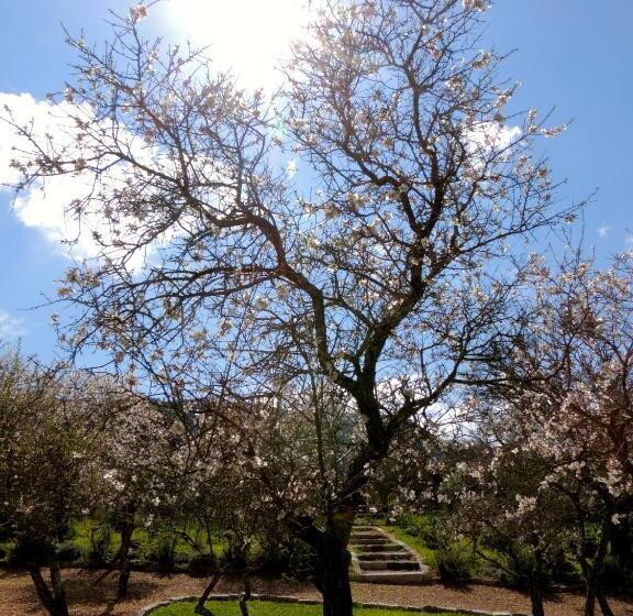 ユースホステル Domaine Pozzo Di Mastri