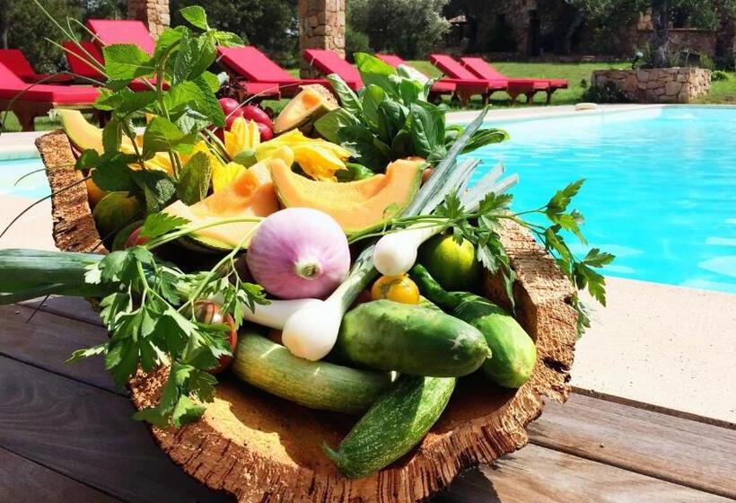 ユースホステル Domaine Pozzo Di Mastri