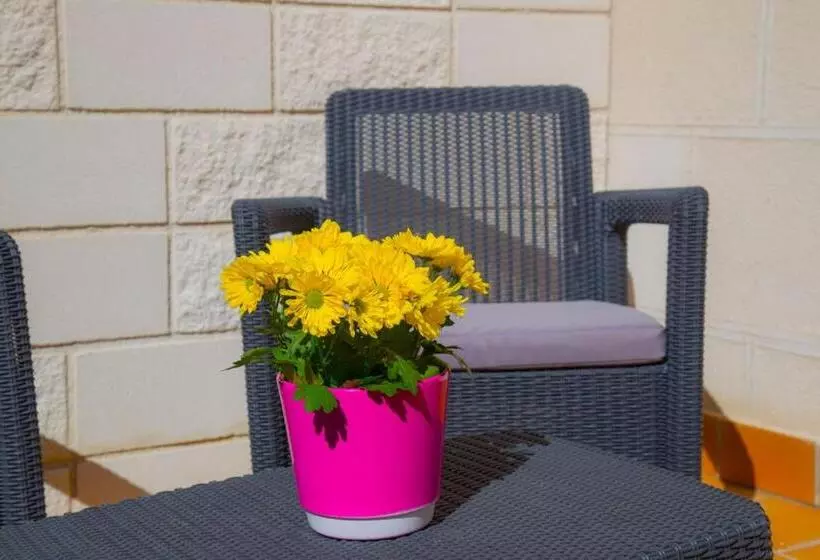 پانسیون Hab Urban Hostel