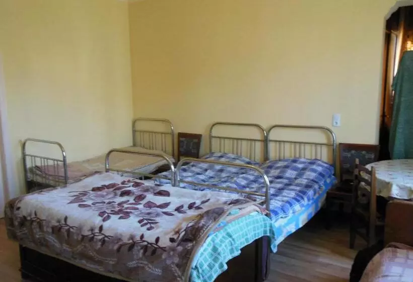 پانسیون Medico And Suliko Guest House