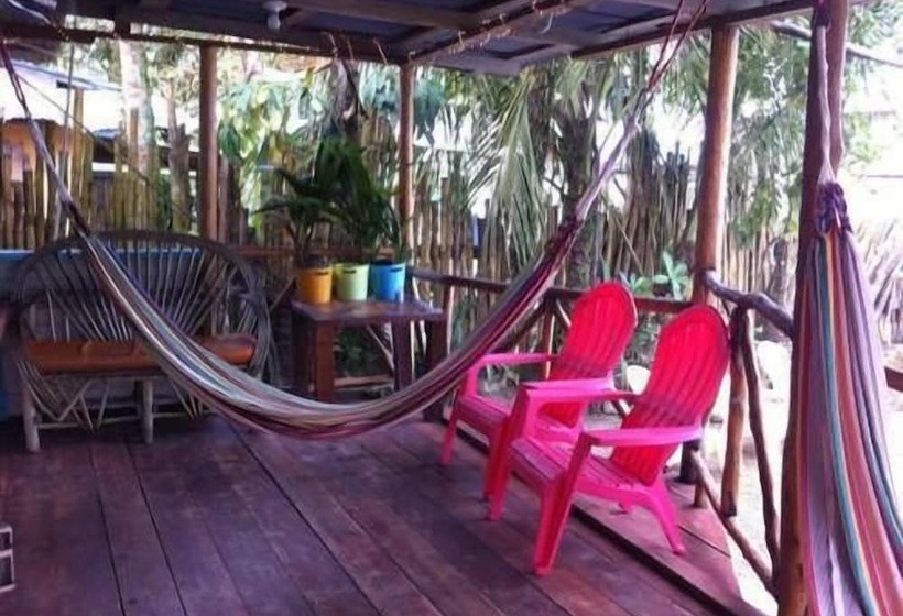 پانسیون The Bocas Beach House