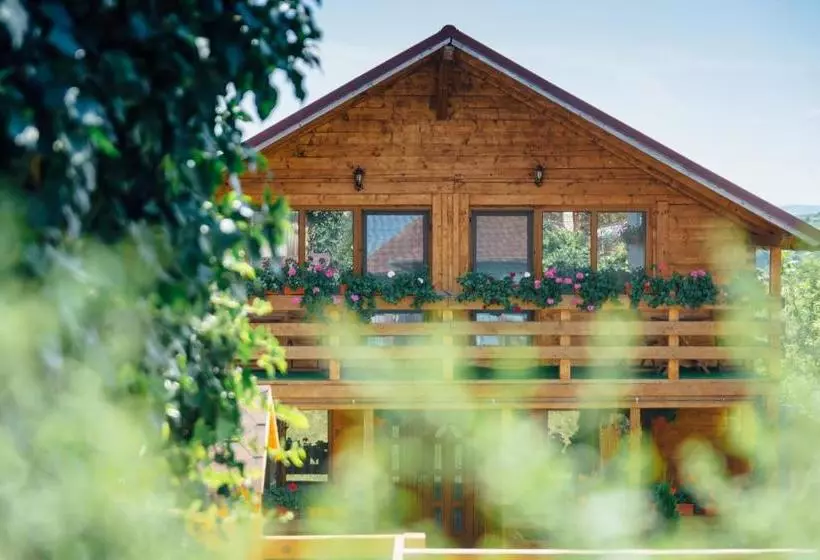 Pensiune Casa Gherman