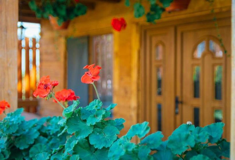 Pensiune Casa Gherman