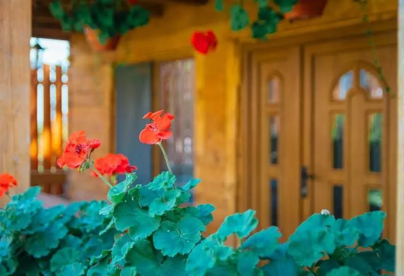 Pensiune Casa Gherman