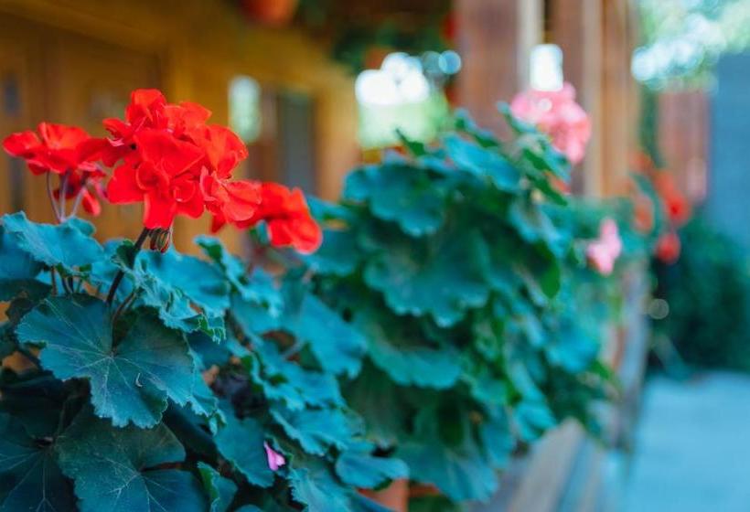 Pensiune Casa Gherman