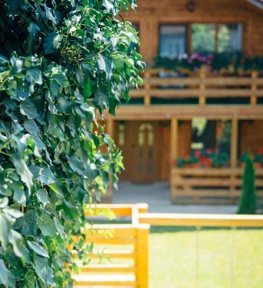 Pensiune Casa Gherman