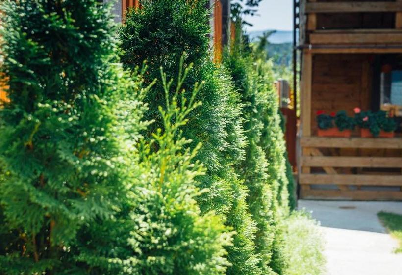 Pensiune Casa Gherman