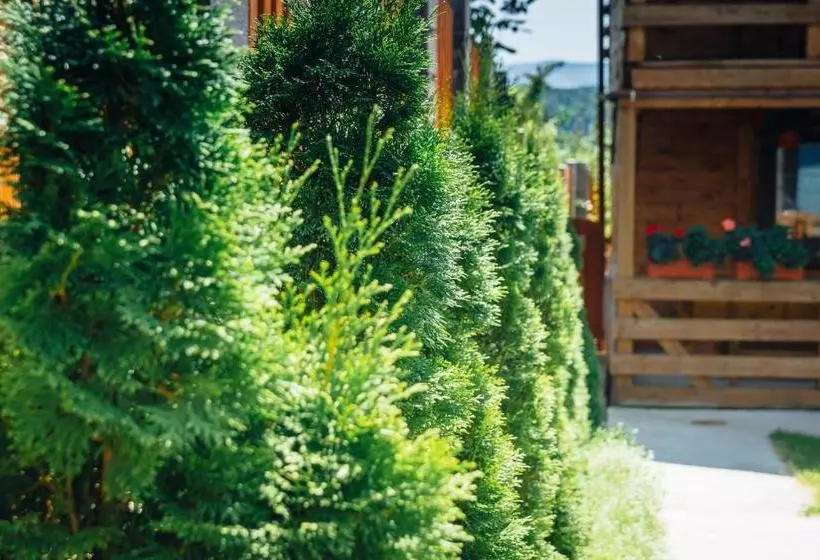 Pensiune Casa Gherman