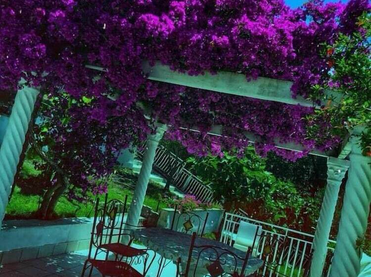 פנסיון Il Paradiso Di Hyele