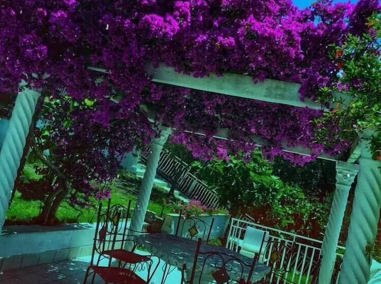 Majatalo Il Paradiso Di Hyele