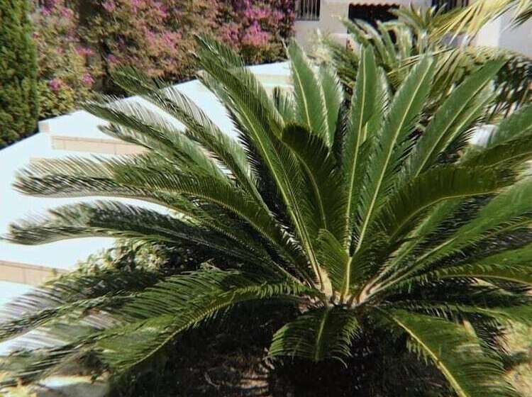 פנסיון Il Paradiso Di Hyele