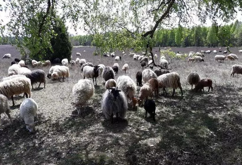 Majatalo Naturhotel Hof Ehlers