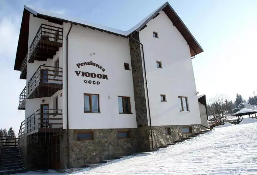 Pensiunea Viodor