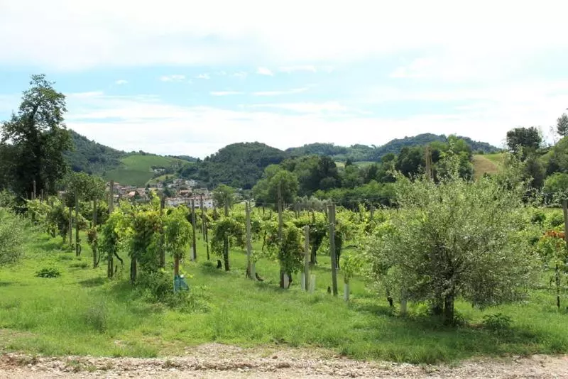 هتل Agriturismo Mazzeracca