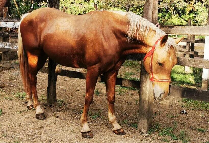 펜션 Hacienda Sassenberg