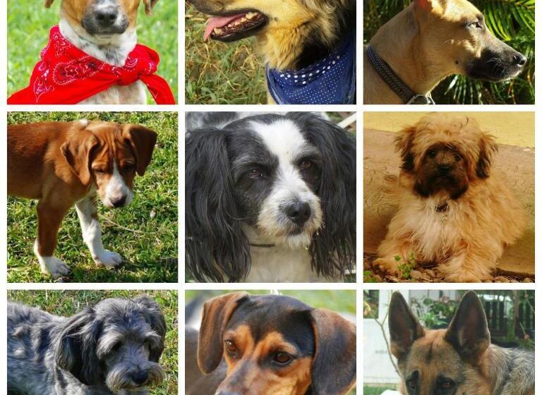 펜션 Hacienda Sassenberg