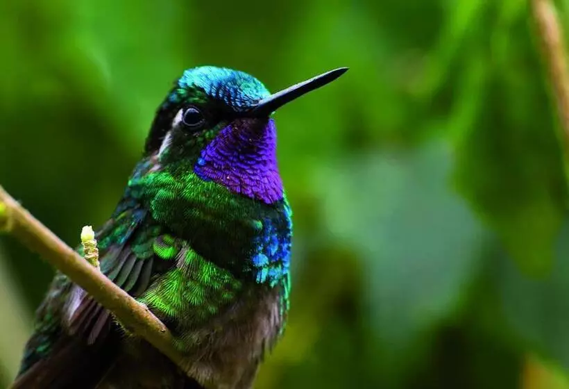 Majatalo Hacienda Sassenberg