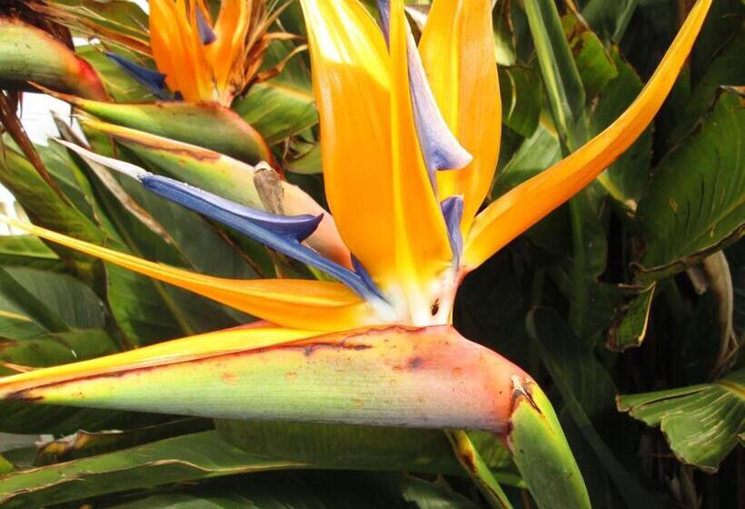 ペンション Residência Machado