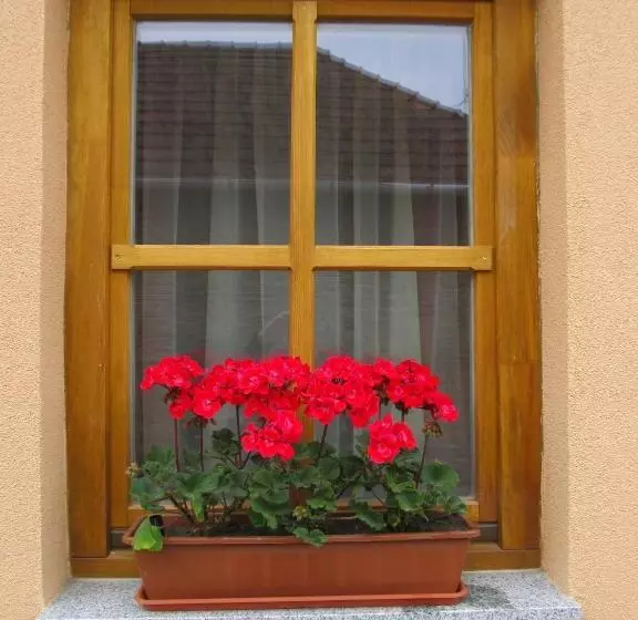 ペンション Tavi Fészek Vendégház