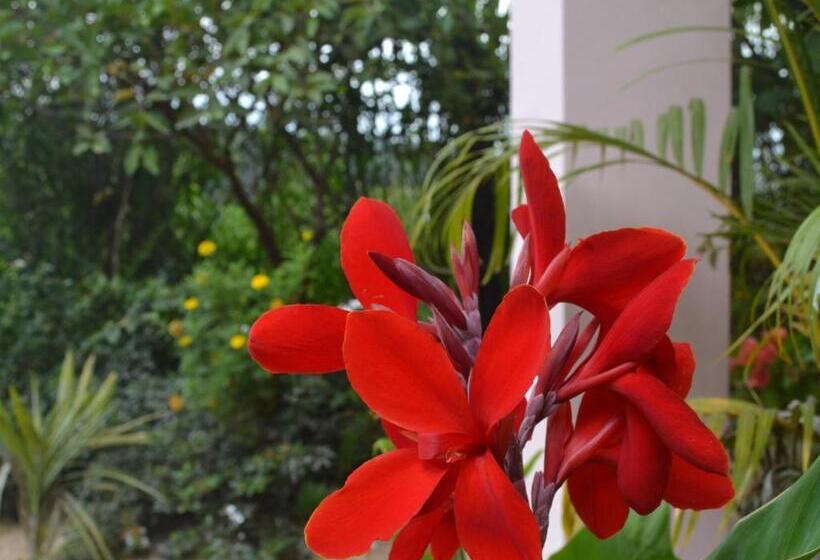 Pension The Rock Face