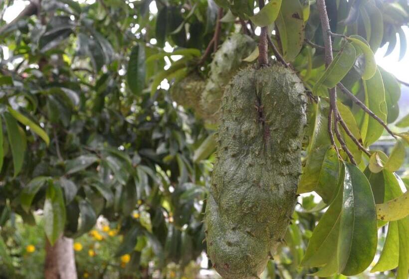 Pension The Rock Face