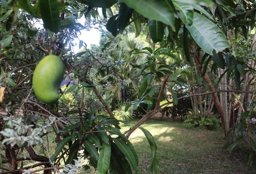 بنسيون Gatetrees Resort