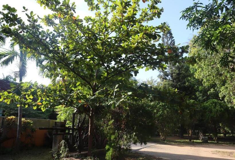 بنسيون Gatetrees Resort