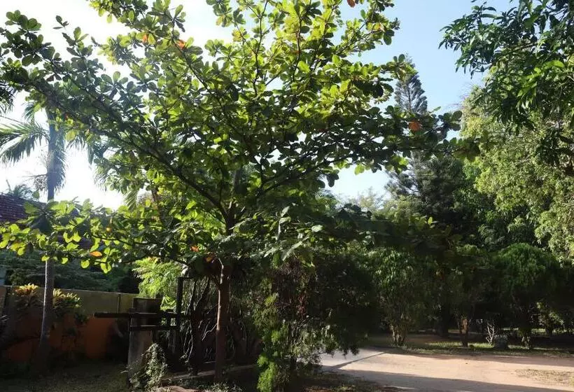 پانسیون Gatetrees Resort