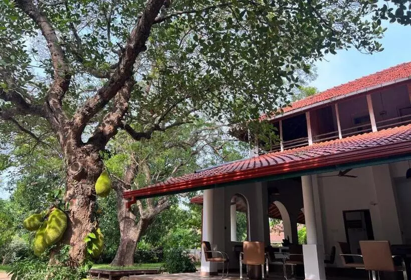 پانسیون Gatetrees Resort