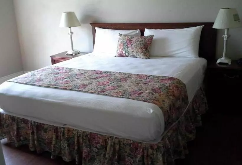پانسیون Guest House Villa Mishkan