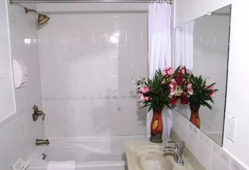پانسیون Guest House Villa Mishkan