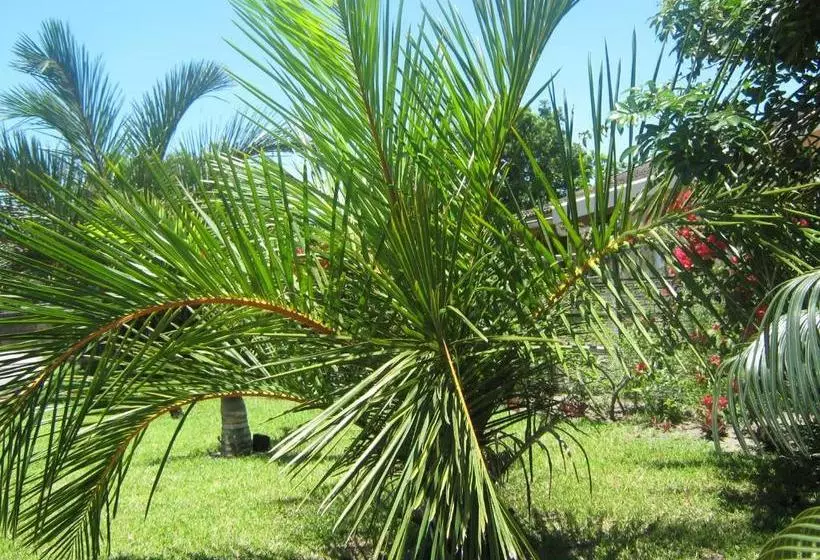 ペンション Hilton Gardens Guesthouse