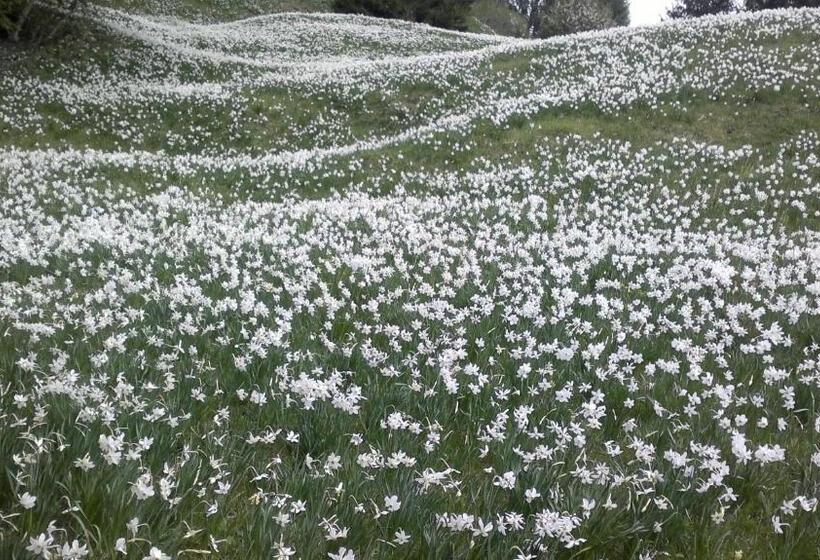 پانسیون Penzion Pr' Betel