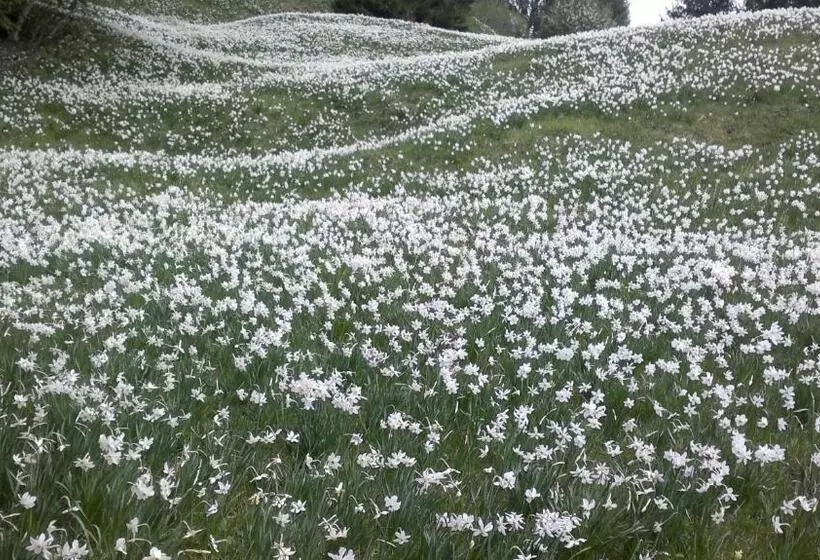 Pension Penzion Pr' Betel